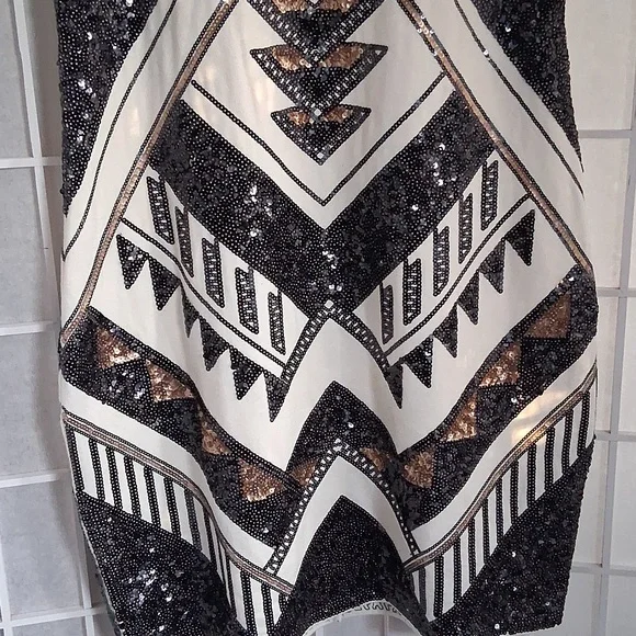 Expresss Sequined Dress